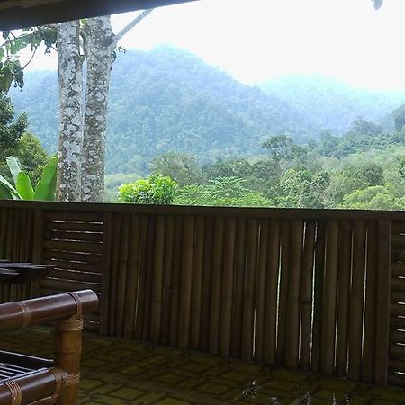 Batu Kapal Jungle Houses Ξενοδοχείο Berastagi Εξωτερικό φωτογραφία