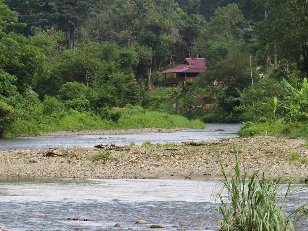 Batu Kapal Jungle Houses Ξενοδοχείο Berastagi Δωμάτιο φωτογραφία